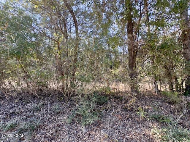 Listing photo 3 for XXX Bryant Bay Rd, Caryville FL 32427