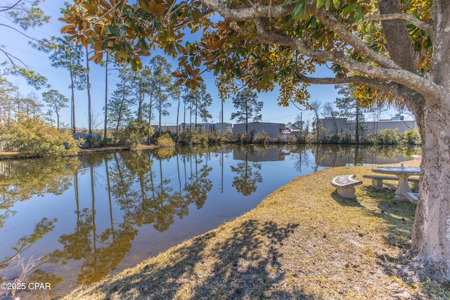 view of water feature