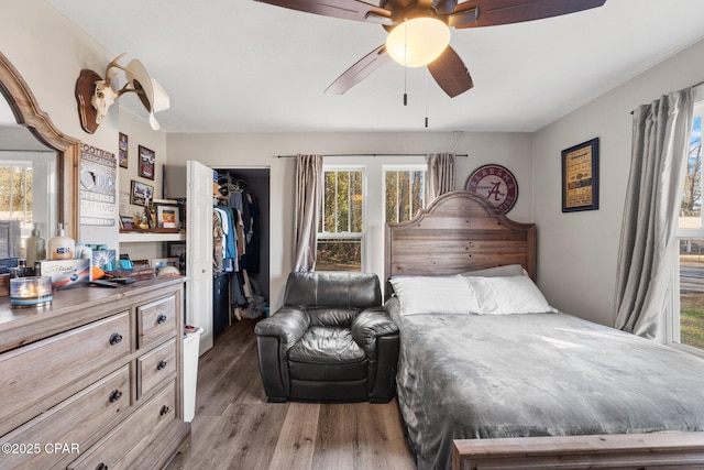 bedroom with ceiling fan, wood-type flooring, a spacious closet, and a closet