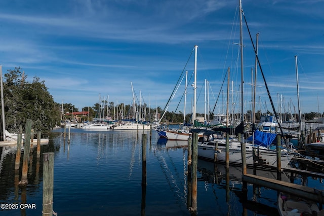 dock area with a water view