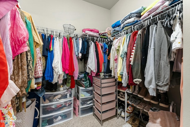 view of spacious closet