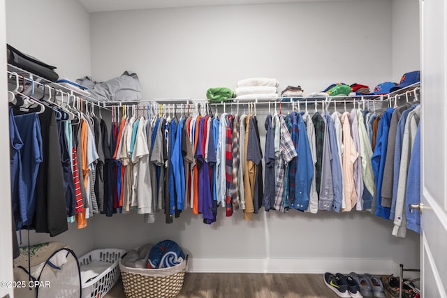 walk in closet featuring wood finished floors