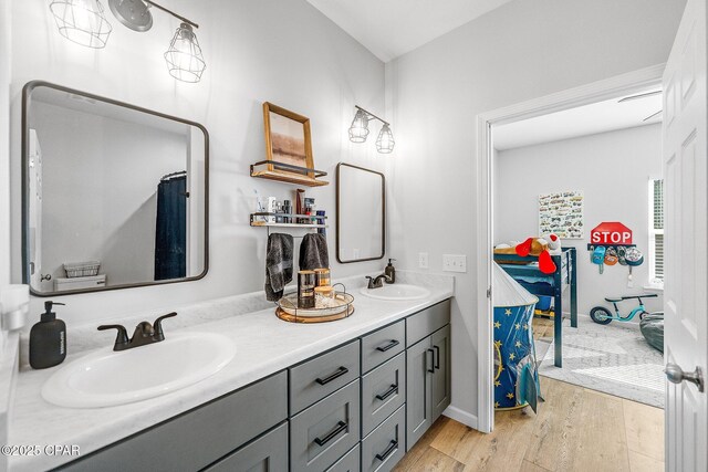 bathroom with wood-type flooring and vanity