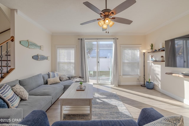 living room featuring ornamental molding, ceiling fan, and light hardwood / wood-style flooring