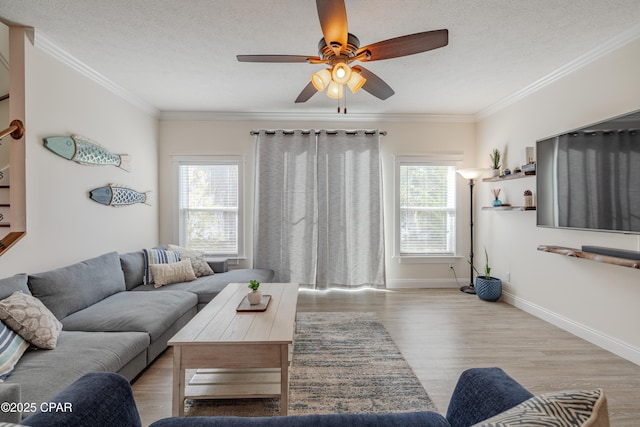 living room with ornamental molding, plenty of natural light, a textured ceiling, and light hardwood / wood-style flooring