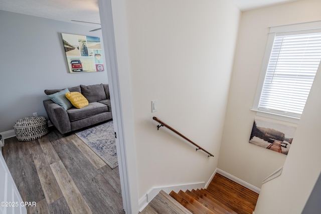 staircase with hardwood / wood-style flooring