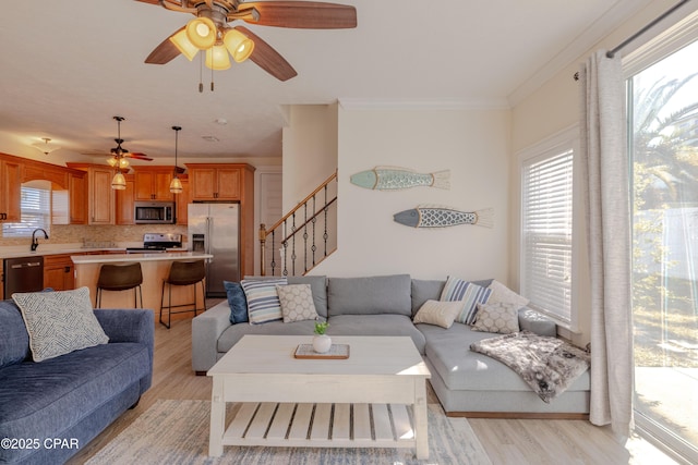 living room with sink, crown molding, ceiling fan, and light wood-type flooring