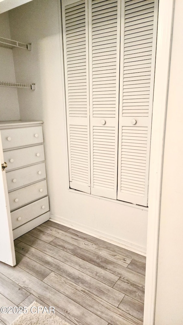 interior space featuring light wood-type flooring and a closet