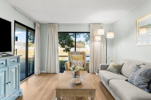 living room featuring plenty of natural light and light wood-type flooring