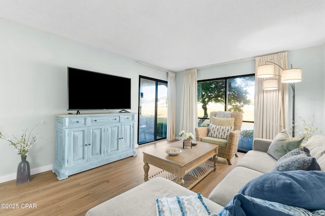living room featuring light hardwood / wood-style flooring