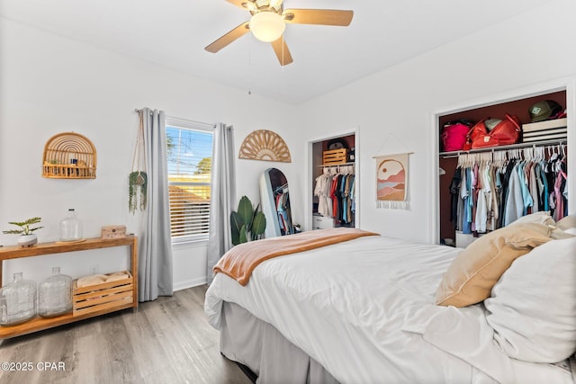 bedroom featuring multiple closets, ceiling fan, and light wood-type flooring