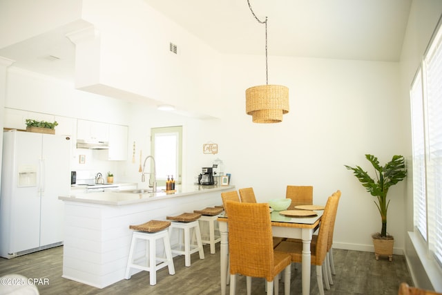 dining area featuring dark hardwood / wood-style flooring, sink, and a wealth of natural light