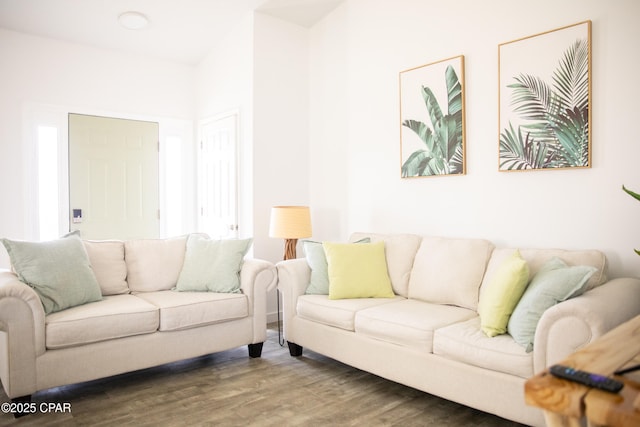 living room featuring hardwood / wood-style floors