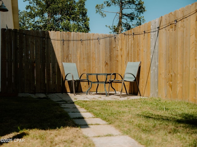 view of yard with a patio