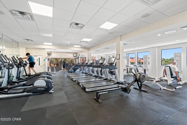 exercise area featuring a wealth of natural light, wood-type flooring, and a paneled ceiling