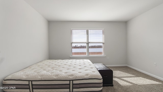 bedroom with carpet floors