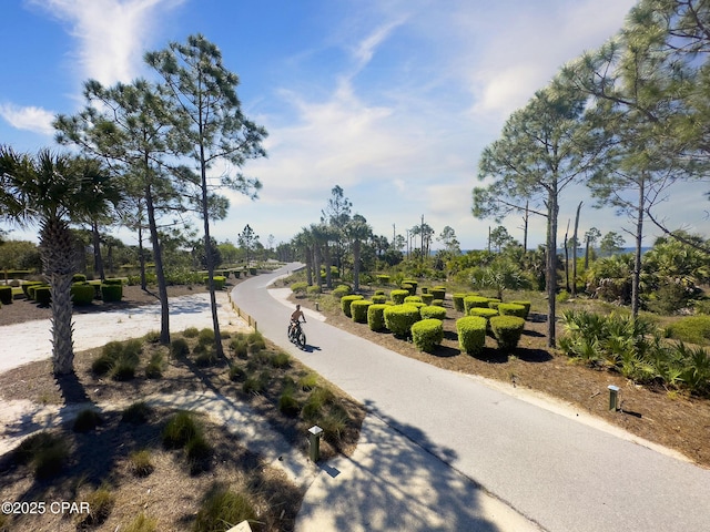 view of road