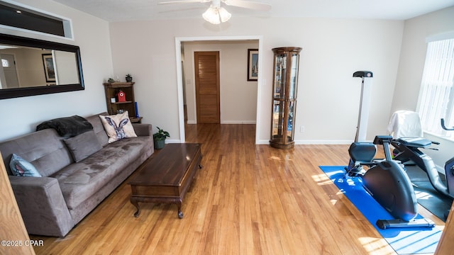 living room with wood-type flooring and ceiling fan