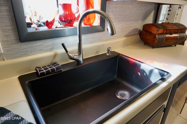 interior details featuring sink