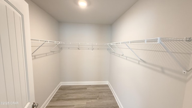 walk in closet with hardwood / wood-style floors