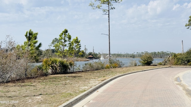 view of street with a water view