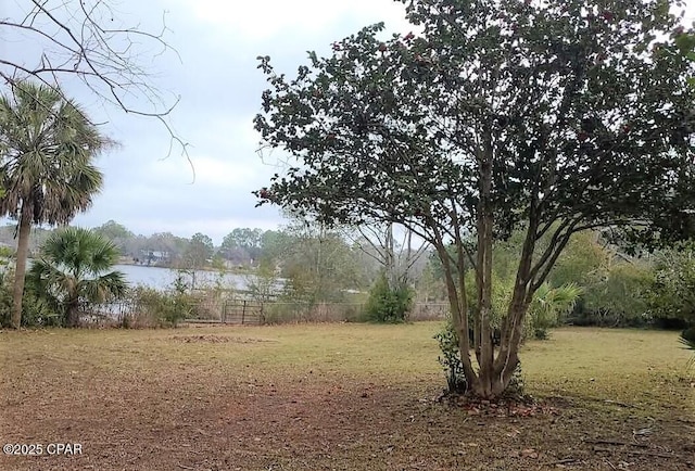 view of yard with a water view