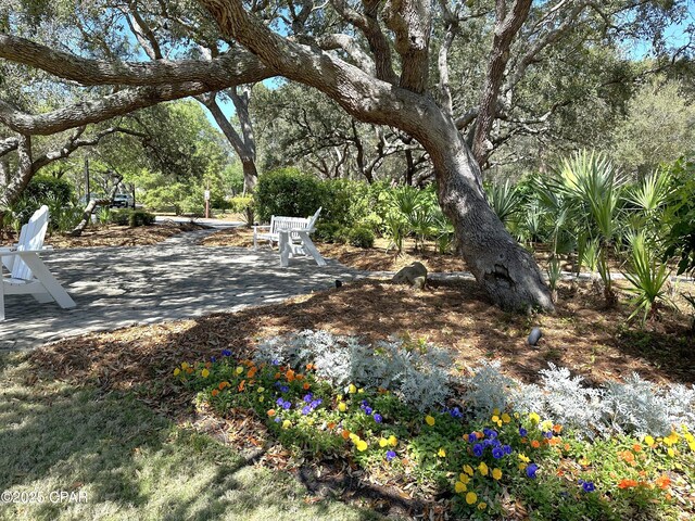 22207 Fox Glenn Trce, Panama City Beach, FL 32413 - view of yard