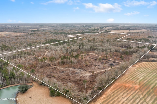 XXX Highway 173, Graceville FL, 32440 land for sale