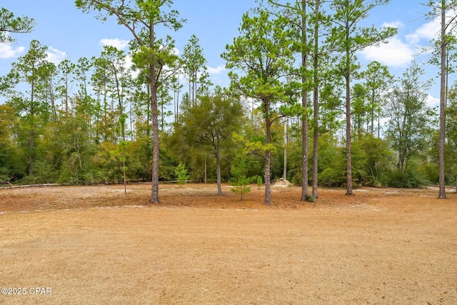 view of local wilderness