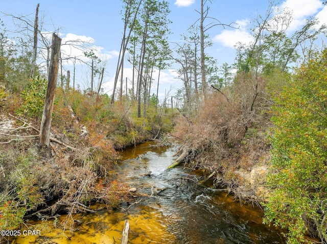 view of local wilderness