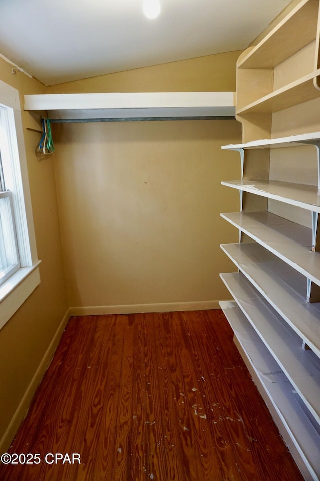 walk in closet with wood finished floors