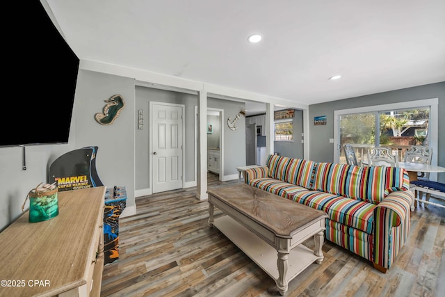 living room with wood-type flooring