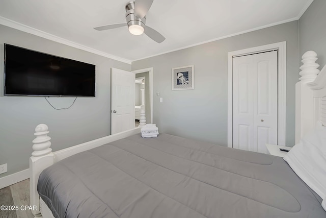 bedroom with crown molding, ceiling fan, light hardwood / wood-style floors, and a closet