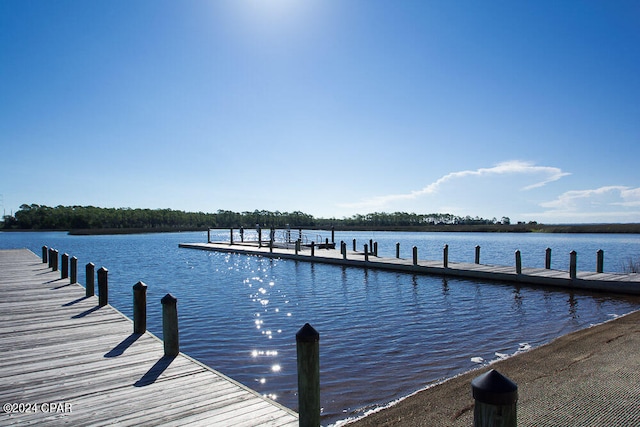 dock area with a water view