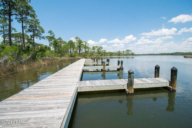 dock area with a water view