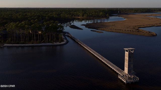 drone / aerial view with a wooded view and a water view