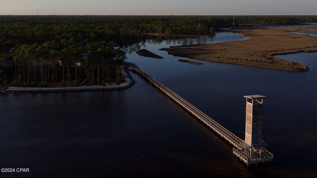 drone / aerial view with a wooded view and a water view