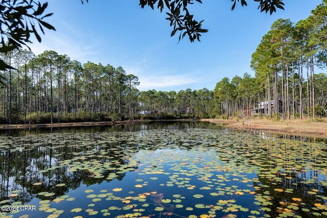 view of water feature with a forest view