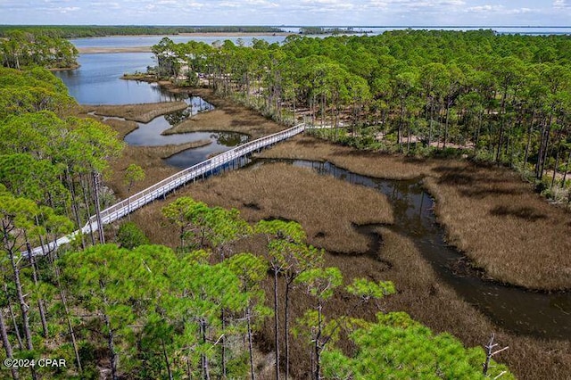 drone / aerial view with a forest view and a water view