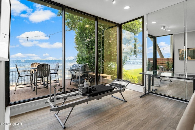 interior space with floor to ceiling windows, a water view, wood-type flooring, and a healthy amount of sunlight