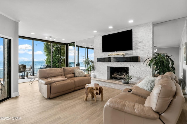 living room featuring light hardwood / wood-style flooring, a fireplace, and expansive windows