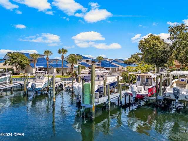 dock area with a water view