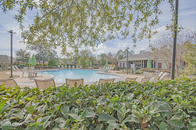 view of swimming pool with a patio