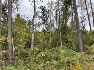 567 Los Padres Ave, Alford FL, 32420 land for sale