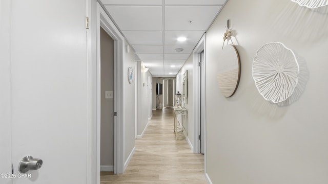 hall featuring light wood-type flooring and a drop ceiling