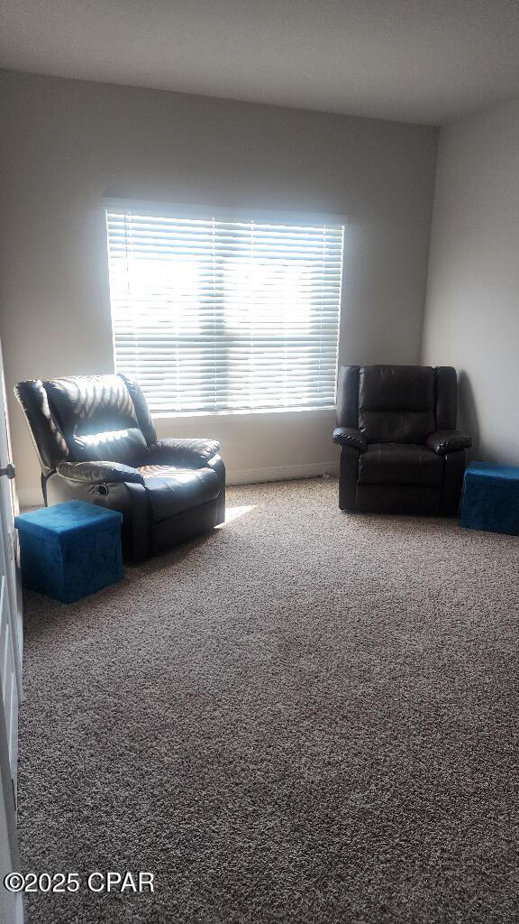 living room featuring carpet and a healthy amount of sunlight