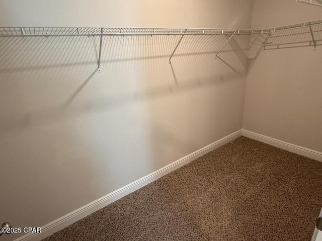 walk in closet with carpet floors