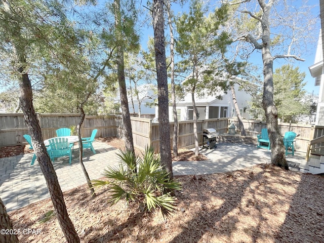 view of yard featuring outdoor dining space, a patio area, and a fenced backyard