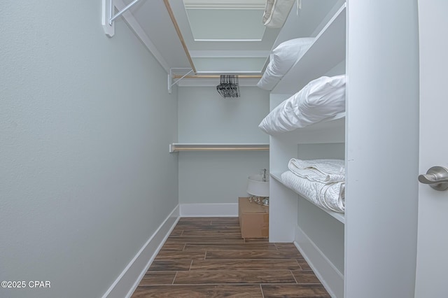 view of walk in closet