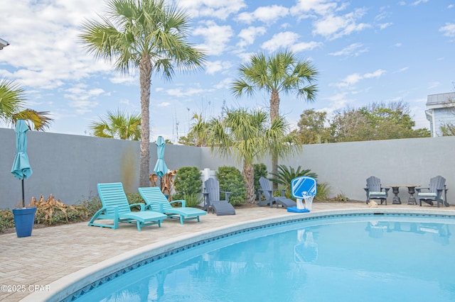 view of swimming pool featuring a patio